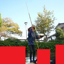 楽しかったです