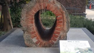 卵型にはわけがある