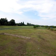 広い公園になっている