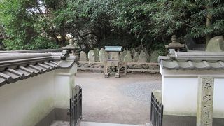 正直なところ薄気味悪いです。