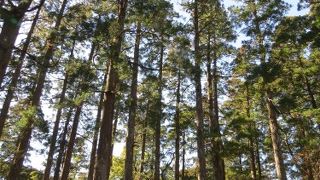 島津氏と伊東氏の争奪の舞台