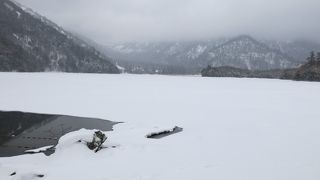 幻想的、野鳥観察