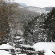 冬期の見学には注意