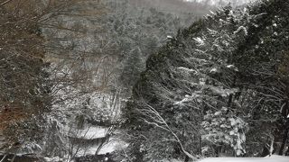 冬期の見学には注意