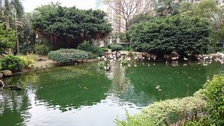 広くて緑の多い公園