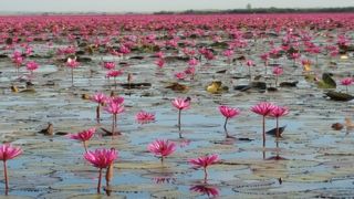 素晴らしい風景です。