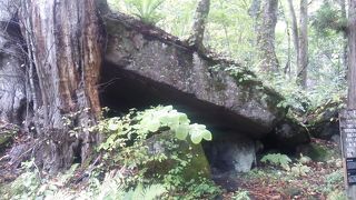 そもそもは景勝地ですが、観光拠点としても利用可能です