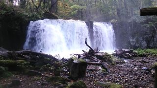 奥入瀬渓流のうち子ノ口エリアを代表する水しぶきがダイナミックな滝
