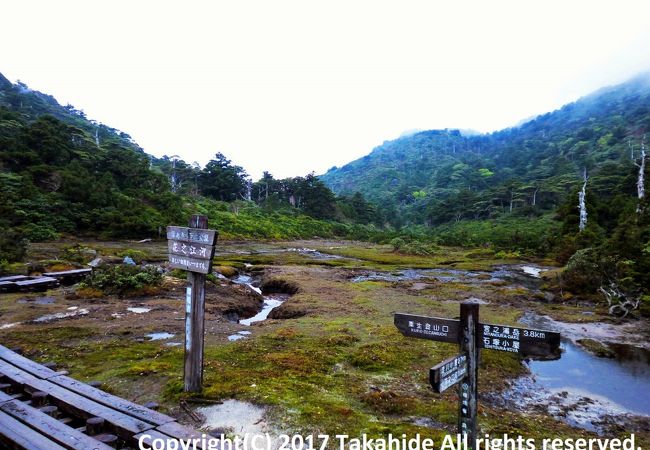 花之江河 クチコミ アクセス 営業時間 屋久島 フォートラベル