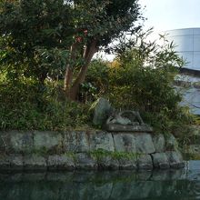 柳川水郷の景色