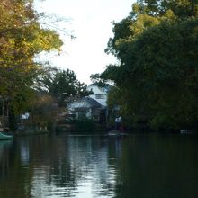 柳川水郷の景色