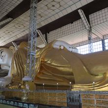 とても大きい、必見！