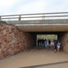 センターから道路下のトンネルを通って見学場所に向かいます