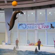 ショーは全体的にクオリティ高い