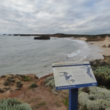 湾の光景