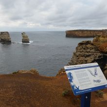 湾内に散在する奇岩の島