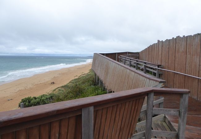 ローガンビーチ ホエールウォッチング