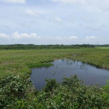 これだけ見たら池間島とは思えない。