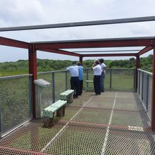 足元も金網で微妙に怖い展望台。