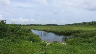 島の真ん中に湿原があったとは