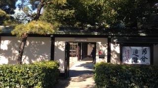 等々力の静かなお寺