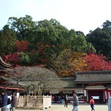 少し紅葉も残っていました