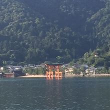 時間帯が早かったので、近づいてくれなかった。