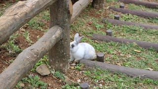 眺めがよいです。