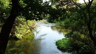 緑と水の美しい公園