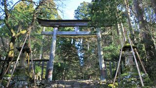 苔の絨毯が見事な静かな空間でした。