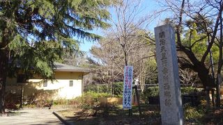 河津桜が咲いていました。