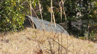 見つけようとしないと見つかりません