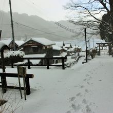 左の橋を渡ると資料館があります。結構沈むので引き返します。