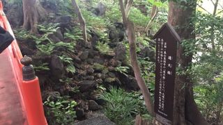東福寺の通天橋