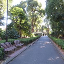 ベンチがある散策路