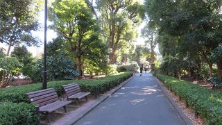 武道館・科学技術館がある広い公園