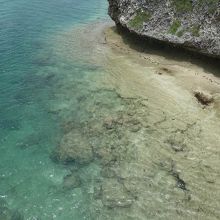 透明度が高い。