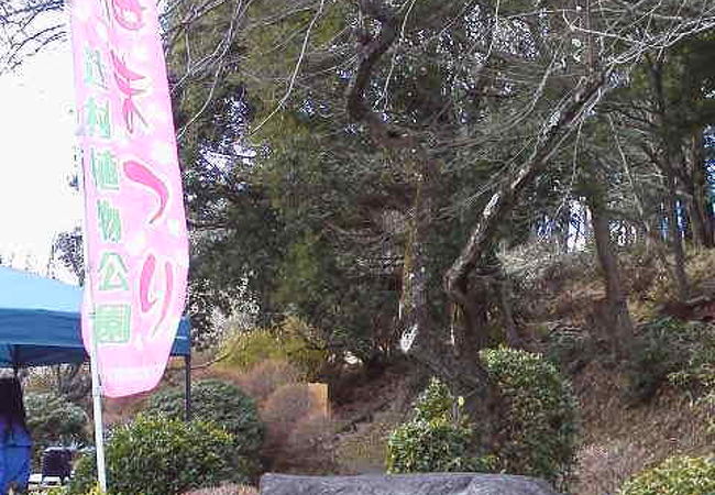 辻村植物公園