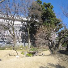 ５日本庭園から