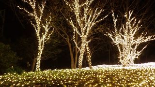 イルミネーションがきれいです