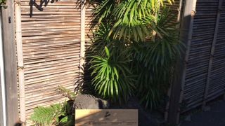 ちょっと高いけど美味しい抹茶ラテ