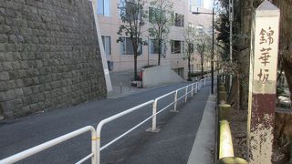 車がよく通ります