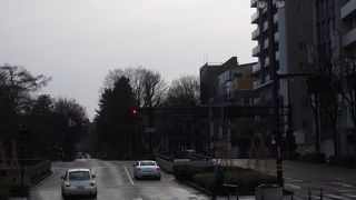 百万石まつりでも使われる通り