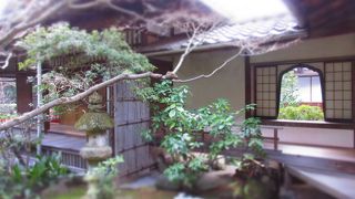 静かなお庭を眺めて…