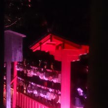 塀までライトアップ