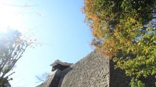 ズルしたようで実はちょっとテレましたが、楽がしたくなるのは仕方ない。齢だもんね。