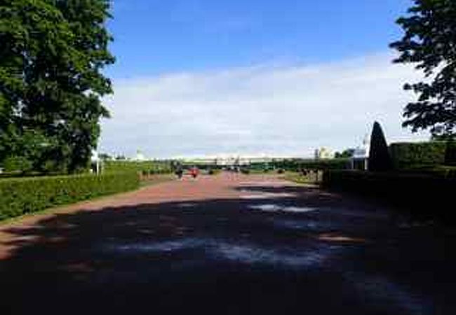 ペテルゴーフ内の庭園