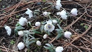 四季折々楽しめます