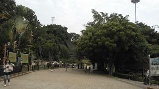 古い王宮を再現