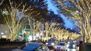 今年も「表参道イルミネーション」が開催